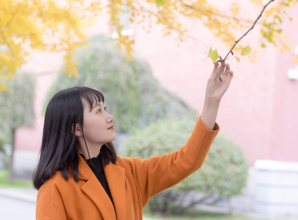 菲律宾大学什么专业比较好